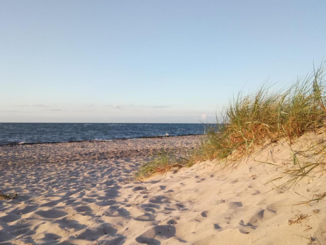 Flat With Sauna In Rerik On The Baltic Sea المظهر الخارجي الصورة